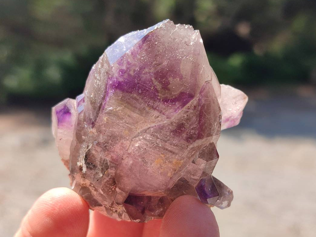 Natural Amethyst Window Quartz Crystals x 5 From Brandberg, Namibia