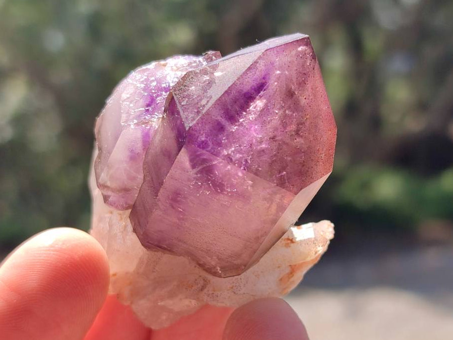 Natural Amethyst Window Quartz Crystals x 5 From Brandberg, Namibia