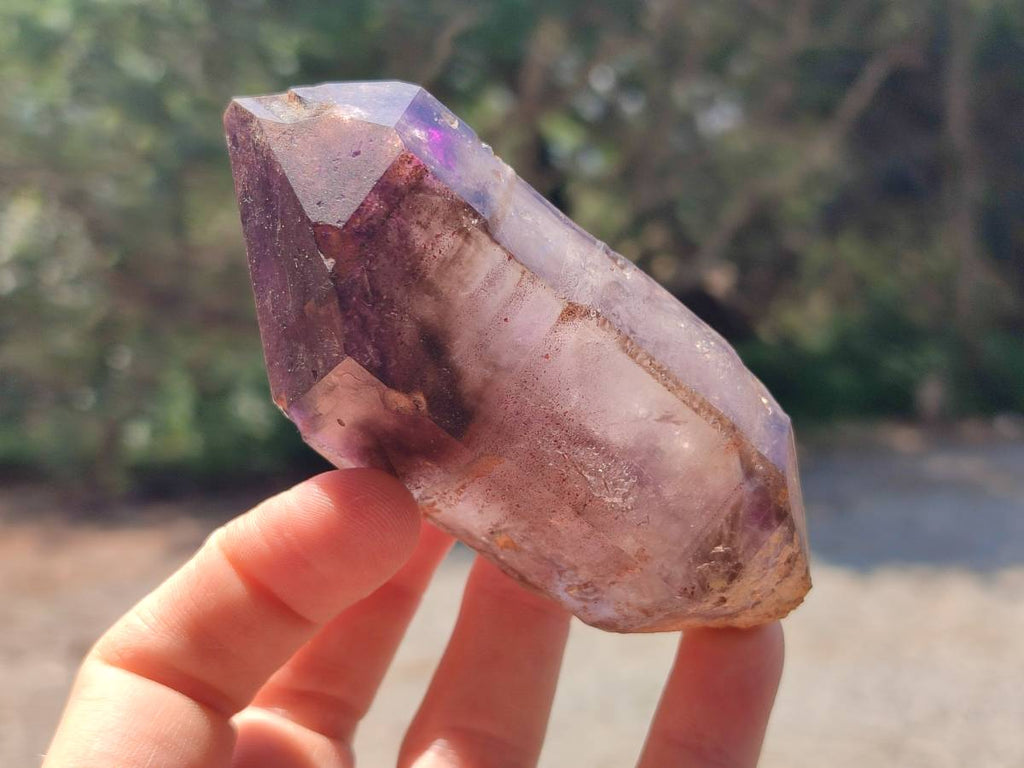 Natural Amethyst Window Quartz Crystals x 5 From Brandberg, Namibia