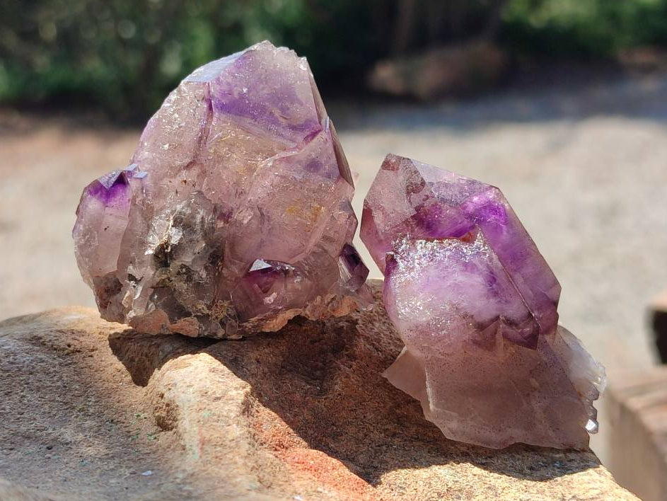 Natural Amethyst Window Quartz Crystals x 5 From Brandberg, Namibia