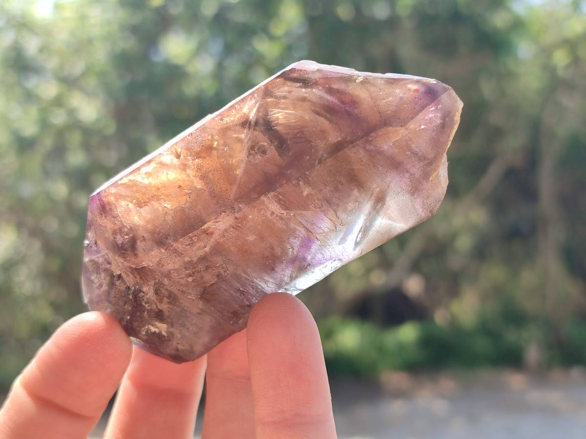 Natural Amethyst Window Quartz Crystals x 5 From Brandberg, Namibia