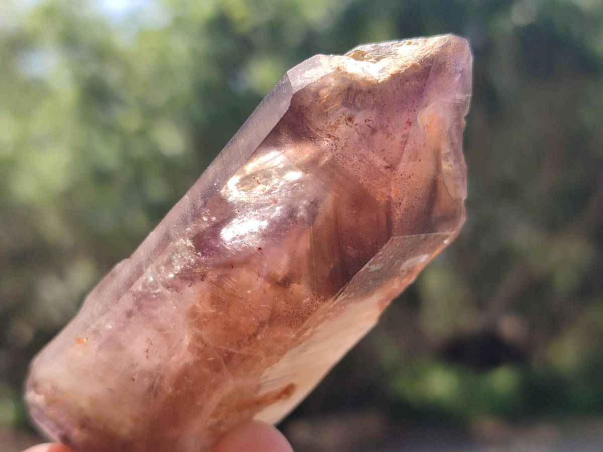 Natural Amethyst Window Quartz Crystals x 5 From Brandberg, Namibia