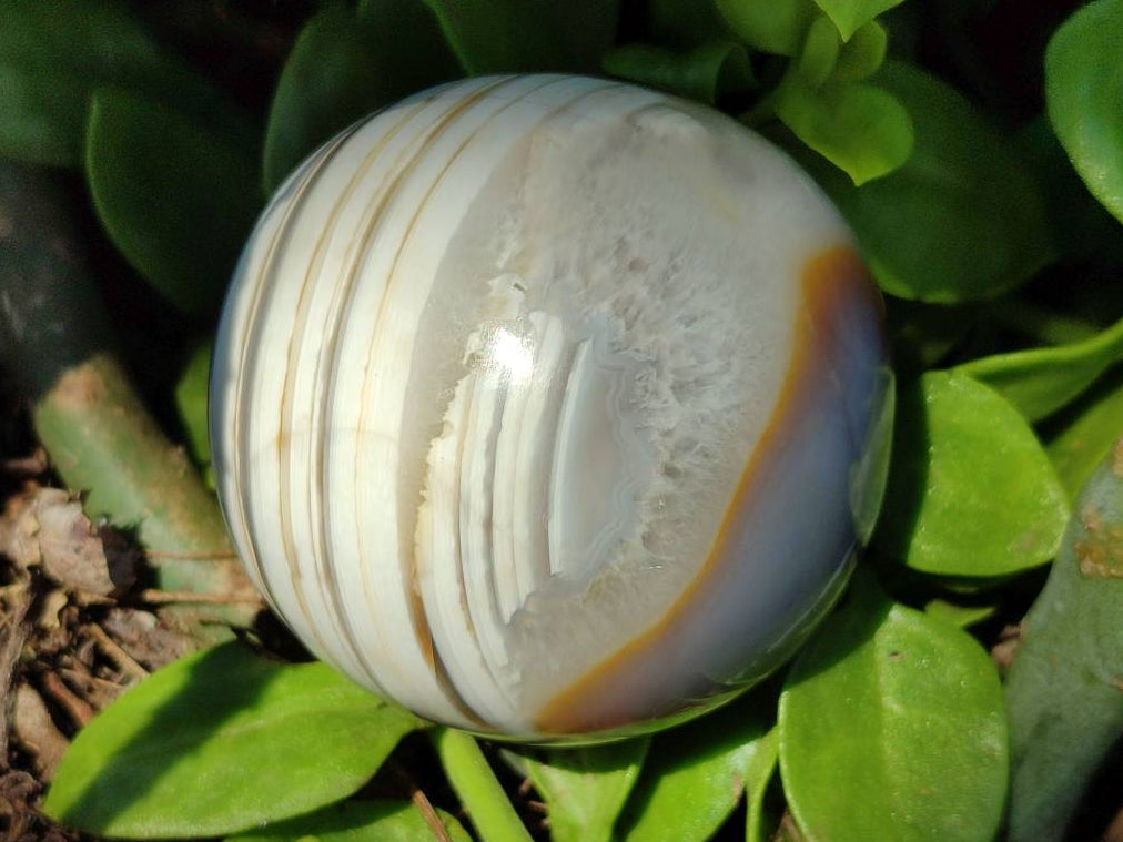 Polished Shashe River Agate Spheres x 6 From Zimbabwe