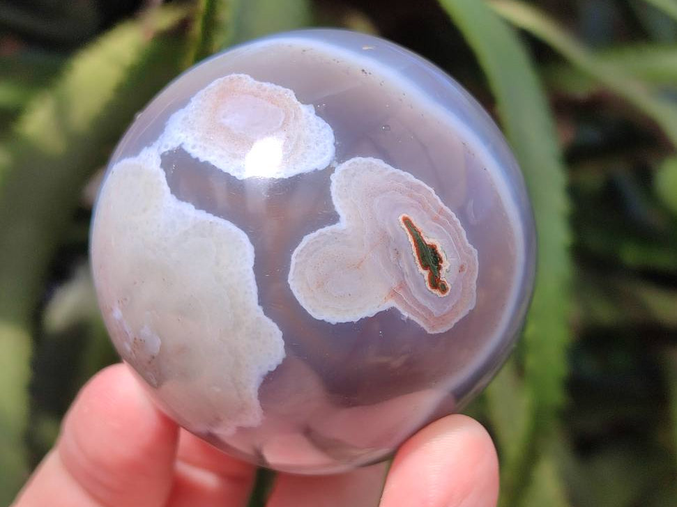 Polished Shashe River Agate Spheres x 6 From Zimbabwe
