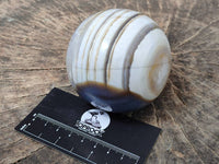 Polished Sashe River Agate Spheres x 6 From Zimbabwe