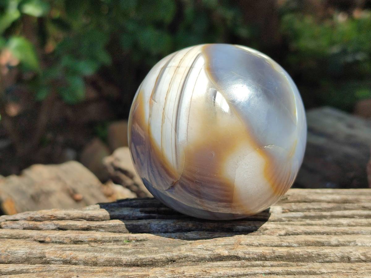 Polished Shashe River Agate Spheres x 6 From Zimbabwe