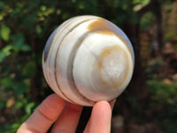 Polished Sashe River Agate Spheres x 6 From Zimbabwe