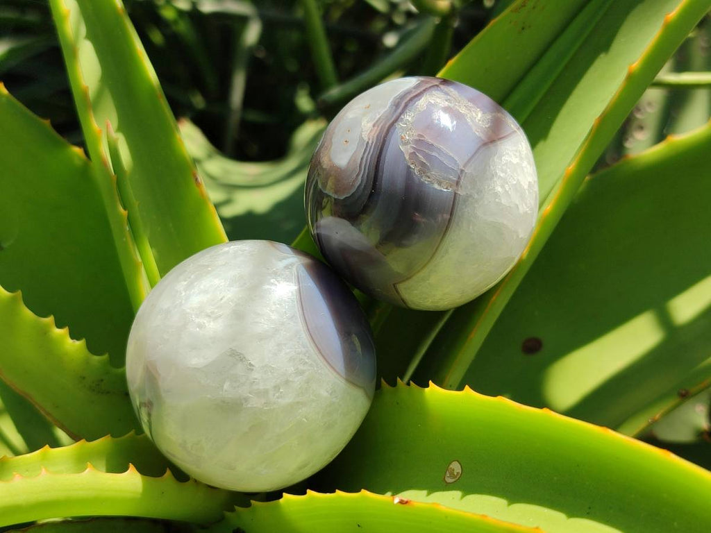 Polished Shashe River Agate Spheres x 6 From Zimbabwe