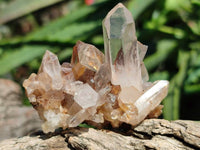 Natural Quartz Crystal Clusters x 25 From Madagascar