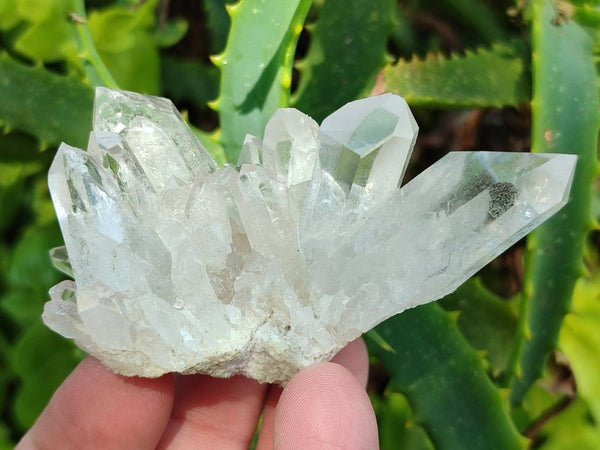 Natural Quartz Crystal Clusters x 25 From Madagascar