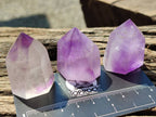 Polished Window Amethyst Crystals x 20 From Akansobe, Madagascar