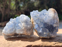 Natural Blue Celestite Specimens x 6 From Sakoany, Madagascar