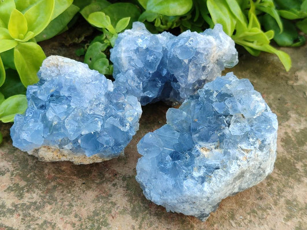 Natural Blue Celestite Specimens x 6 From Sakoany, Madagascar
