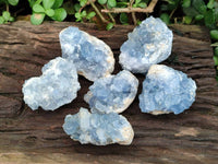Natural Blue Celestite Specimens x 6 From Sakoany, Madagascar