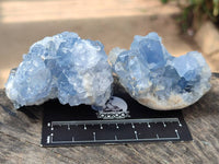 Natural Blue Celestite Specimens x 6 From Sakoany, Madagascar