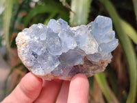 Natural Blue Celestite Specimens x 6 From Sakoany, Madagascar