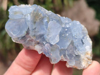 Natural Blue Celestite Specimens x 6 From Sakoany, Madagascar