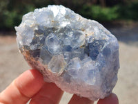 Natural Blue Celestite Specimens x 6 From Sakoany, Madagascar
