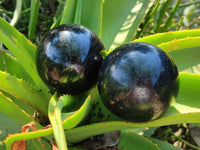 Polished Black Tourmaline Spheres x 4 From Madagascar
