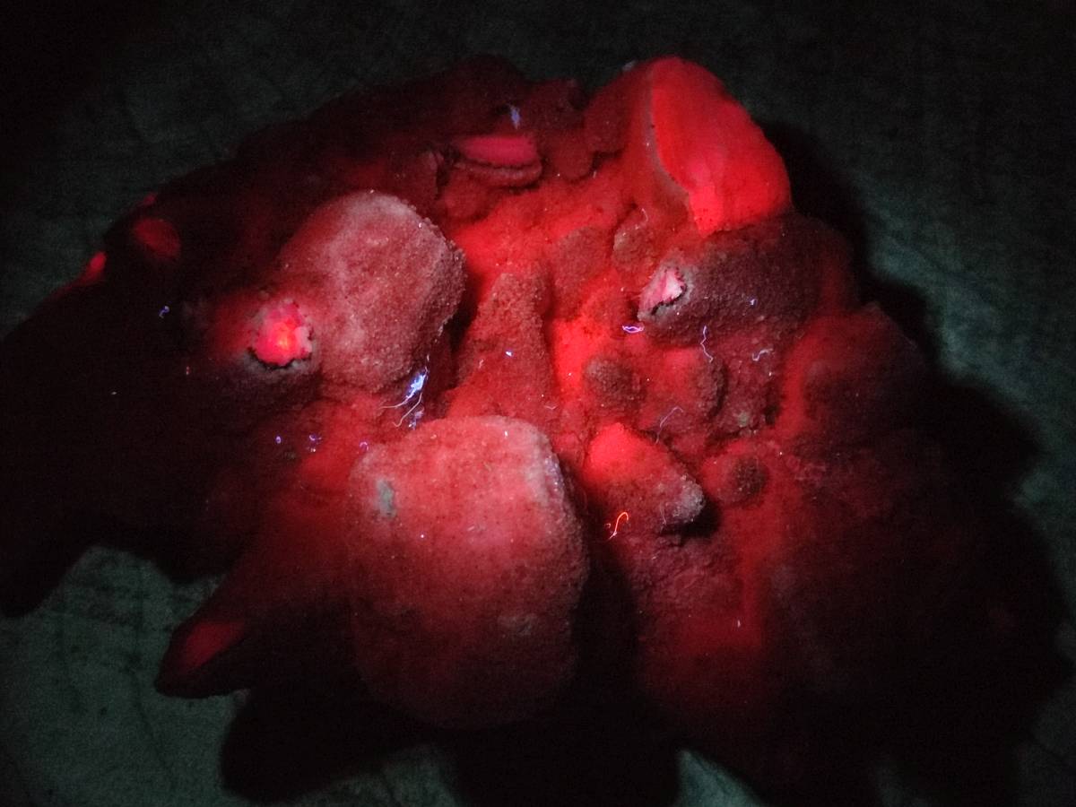 Natural Fluorescent Calcite Specimens x 3 From Southern Africa