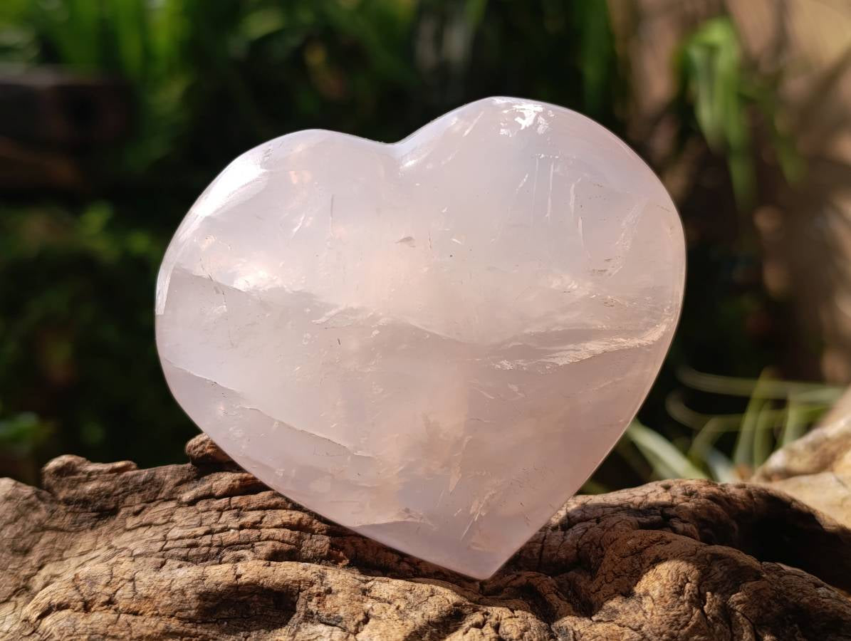 Polished Rose Quartz Hearts x 6 From Madagascar