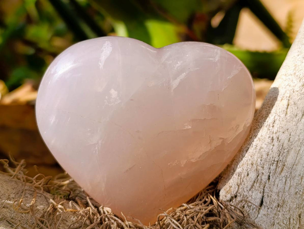 Polished Rose Quartz Hearts x 6 From Madagascar