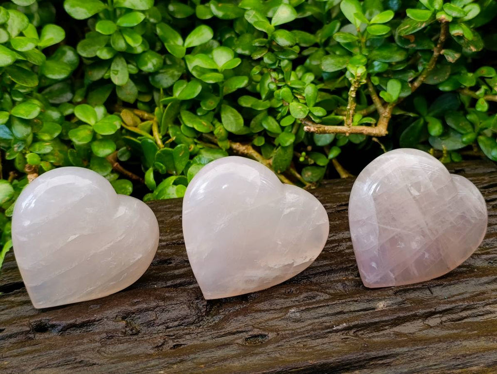 Polished Rose Quartz Hearts x 6 From Madagascar
