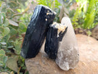 Natural Schorl Black Tourmaline With Smokey Quartz x 4 From Erongo, Namibia