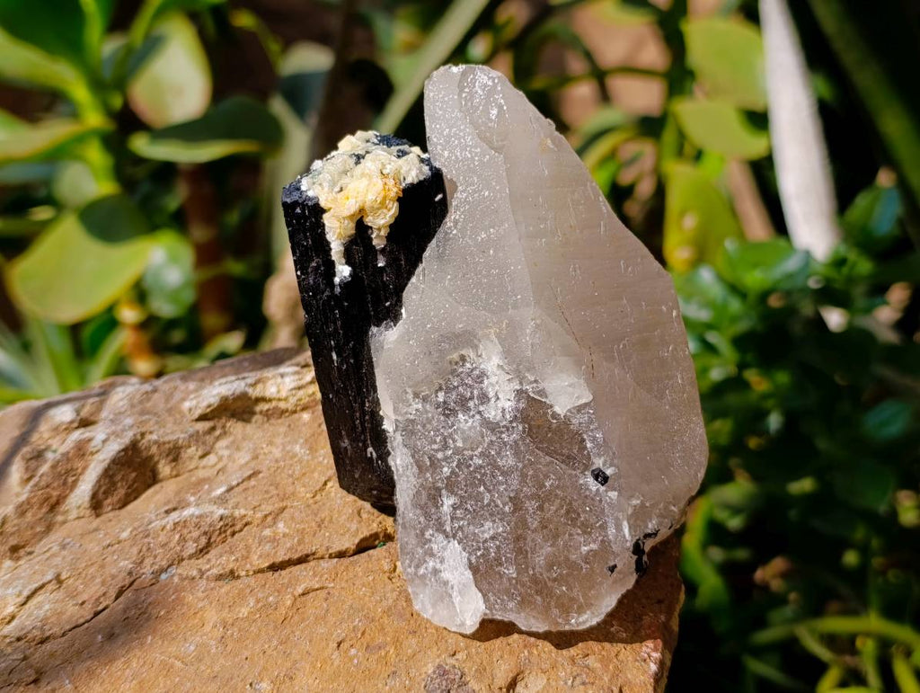 Natural Schorl Black Tourmaline With Smokey Quartz x 4 From Erongo, Namibia