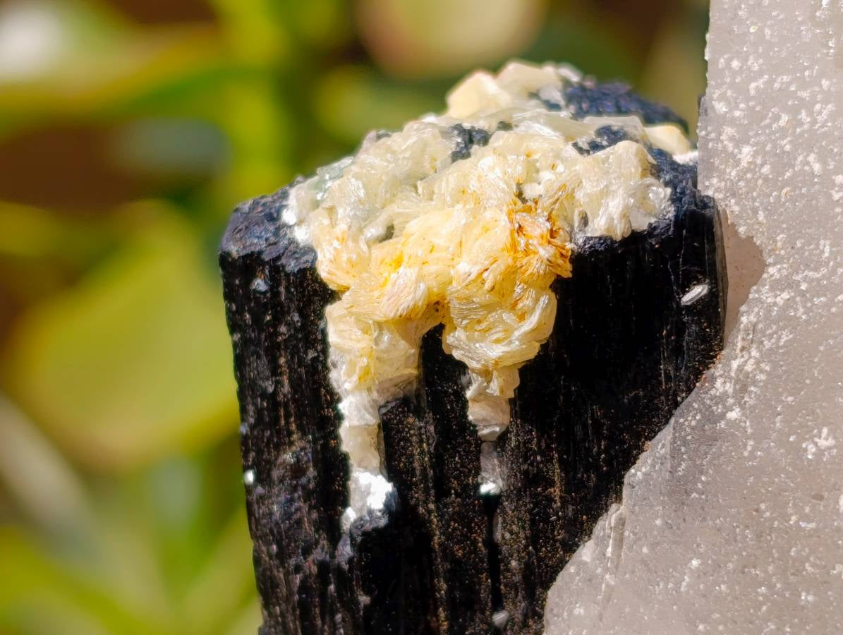 Natural Schorl Black Tourmaline With Smokey Quartz x 4 From Erongo, Namibia