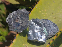 Natural Fragile Lead Galena Cobbed Specimens x 21 From Kaokoveld, Namibia