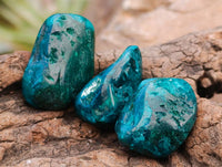 Polished Dioptase Free Forms x 20 From Likasi, Congo