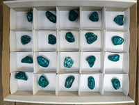Polished Dioptase Free Forms x 20 From Likasi, Congo