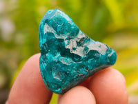 Polished Dioptase Free Forms x 20 From Likasi, Congo