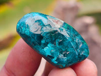 Polished Dioptase Free Forms x 20 From Likasi, Congo