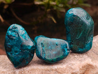 Polished Dioptase Free Forms x 20 From Likasi, Congo