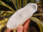 Natural Quartz Crystals x 35 From Madagascar