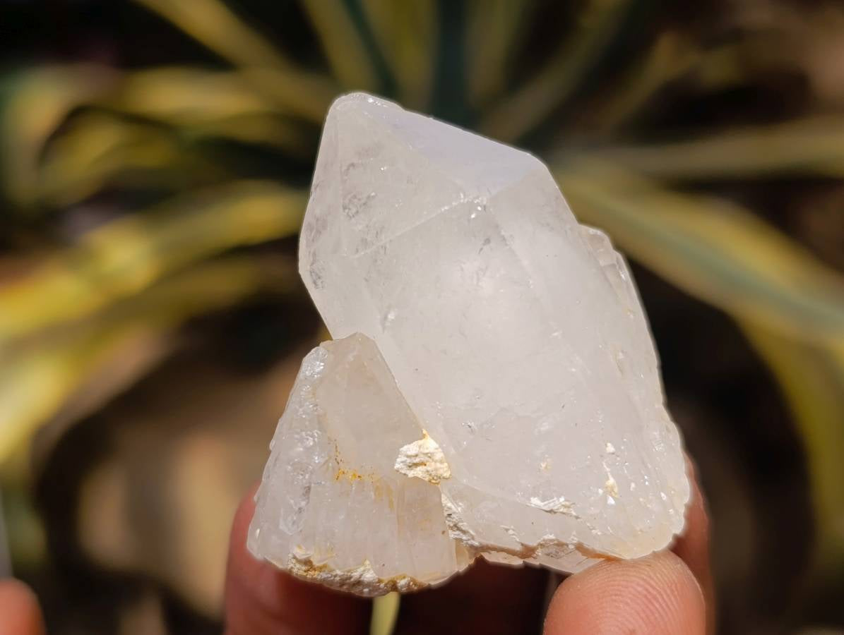 Natural Quartz Crystals x 35 From Madagascar
