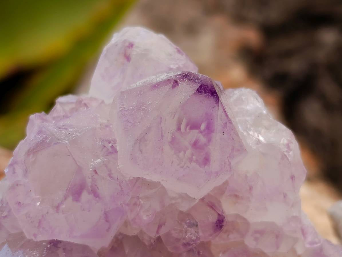 Natural Amethyst Spirit Clusters x 12 From Boekenhouthoek, South Africa