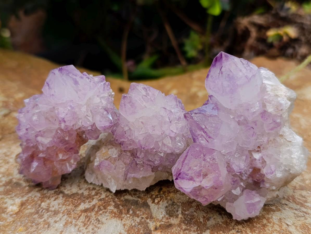 Natural Amethyst Spirit Clusters x 12 From Boekenhouthoek, South Africa