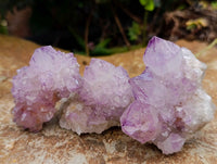 Natural Amethyst Spirit Clusters x 12 From Boekenhouthoek, South Africa
