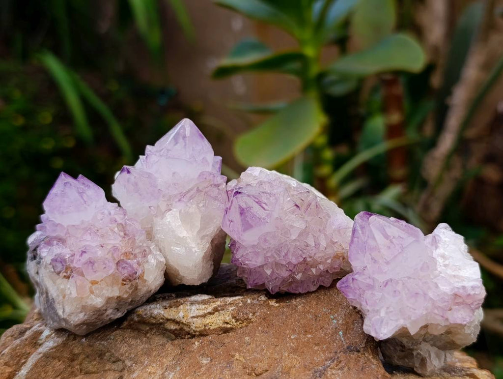 Natural Amethyst Spirit Clusters x 12 From Boekenhouthoek, South Africa