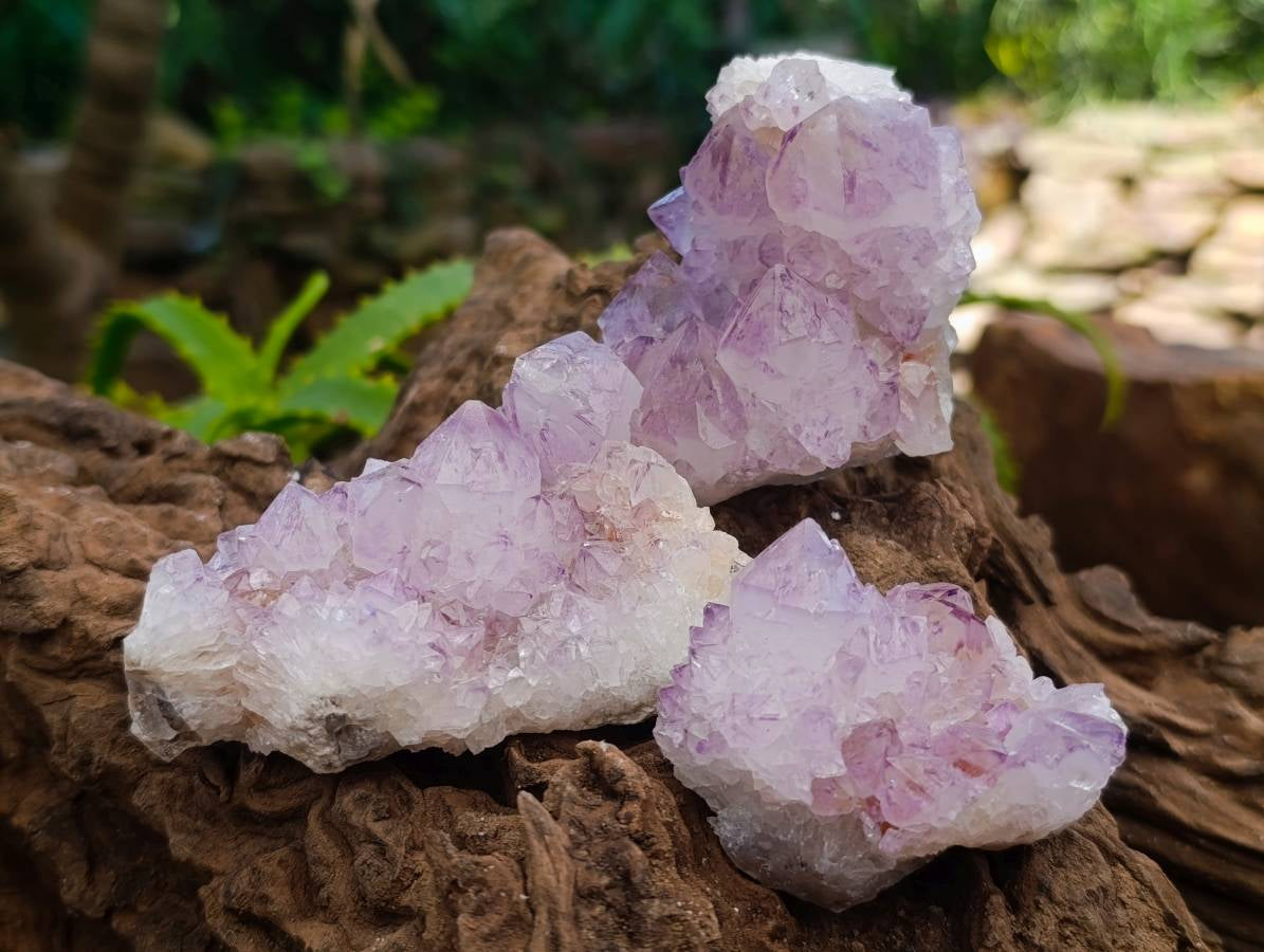 Natural Amethyst Spirit Clusters x 12 From Boekenhouthoek, South Africa