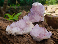 Natural Amethyst Spirit Clusters x 12 From Boekenhouthoek, South Africa