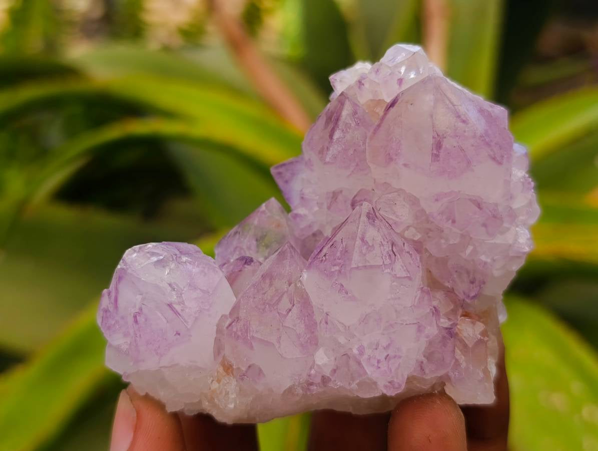 Natural Amethyst Spirit Clusters x 12 From Boekenhouthoek, South Africa