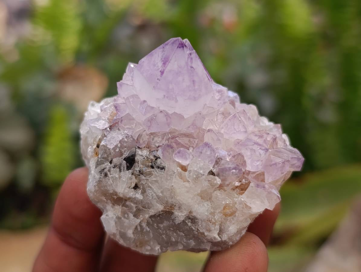 Natural Amethyst Spirit Clusters x 12 From Boekenhouthoek, South Africa