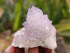 Natural Amethyst Spirit Clusters x 12 From Boekenhouthoek, South Africa