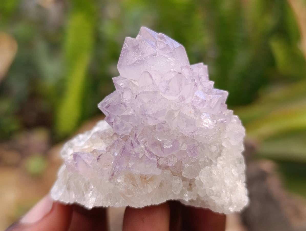 Natural Amethyst Spirit Clusters x 12 From Boekenhouthoek, South Africa