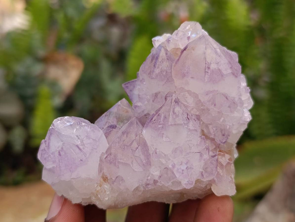 Natural Amethyst Spirit Clusters x 12 From Boekenhouthoek, South Africa