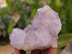 Natural Amethyst Spirit Clusters x 12 From Boekenhouthoek, South Africa